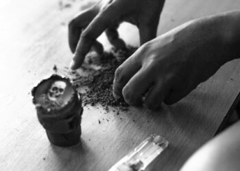 Наркодилер из Питера вывел криптовалюты на сумму более 10 млн рублей