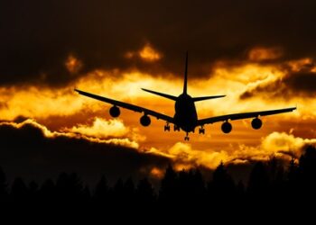 На тушение Бузулукского бора привлекут самолеты Бе-200