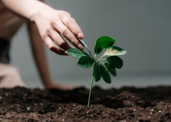 Тольяттиазот поддержит российский агропром