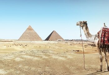 В конце августа могут появиться прямые перелеты из Самары на египетские курорты