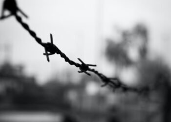 Участник-коррупционер скандальных рекламных торгов в Тольятти получил условный срок