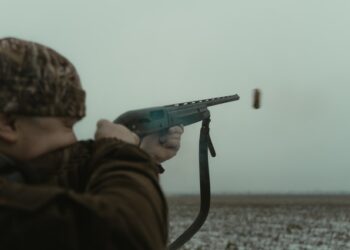 В Самарской области разрешили охотиться на кабанов