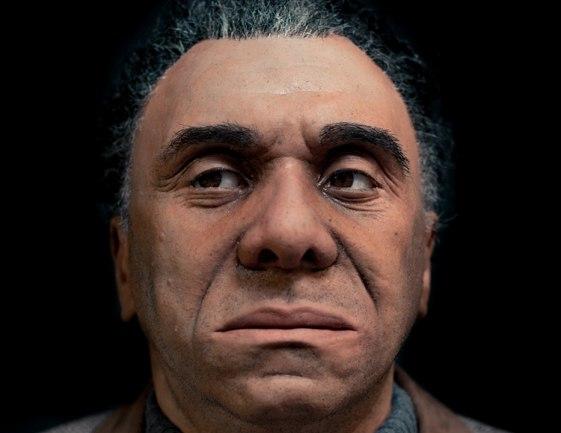 Британская Engineered Arts предлагает желающим создать своего андроида-двойника