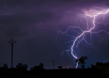 Фото: Alexandre Bringer: Pexels