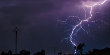 Фото: Alexandre Bringer: Pexels