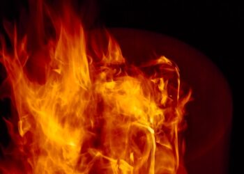 Сгоревший в Мордовии «Иван-чай» нагрел страховую компанию «СОГАЗ» на 34,1 млн рублей