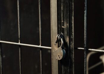 Самарский наркосбытчик-беглец получил 12 лет колонии