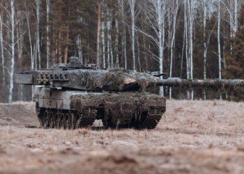 Эксперт Newsweek Майерс: Украину в этом году ждут еще более разрушительные бедствия