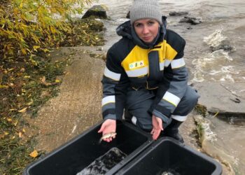 Нефтяники выпустили мальков сазана в Волгу