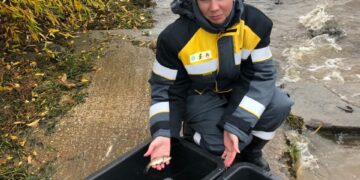 Нефтяники выпустили мальков сазана в Волгу