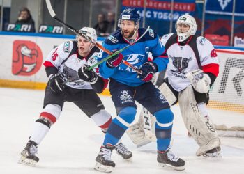 «Лада» завершила домашнюю серию матчей Высшей хоккейной лиги на шестом месте