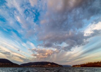 В Самарской области 18 октября объявлен желтый уровень опасности из-за сильного ветра