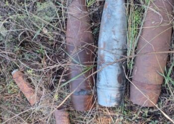 В лесу Самарской области найдены артиллерийские 152 мм снаряды   