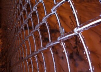 Автобусное сообщение между Самарской и Ульяновской областями 23 ноября остановлено