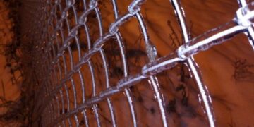 Автобусное сообщение между Самарской и Ульяновской областями 23 ноября остановлено