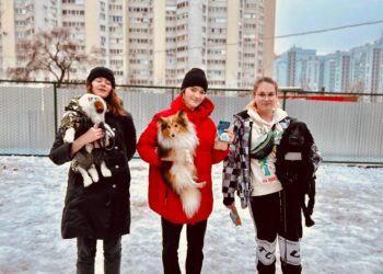 В Самаре на улице Карла Маркса открылась площадка для выгула собак