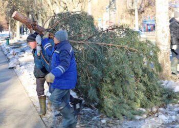 В Самаре 28 ноября начали устанавливать новогодние праздничные ели