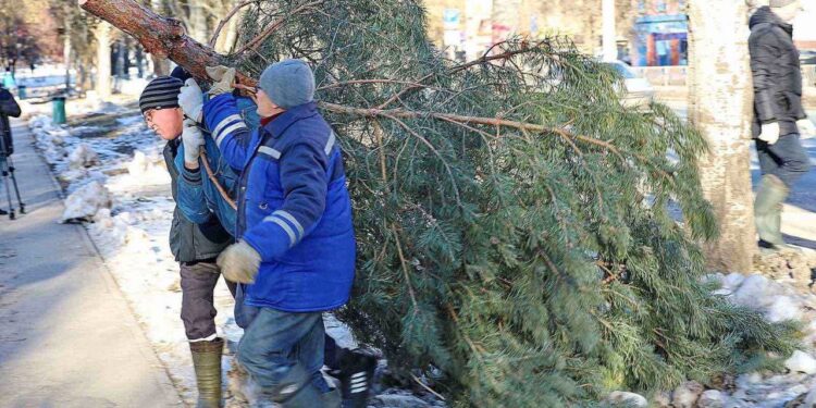 Фото: пресс-служба администрации г.о. Самара