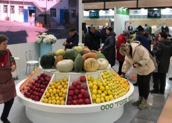 Самарская область укрепила инновационное партнерство с Узбекистаном