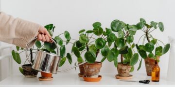 Территории роста-2022: новый рейтинг муниципалитетов по динамике основных инвестиционных показателей