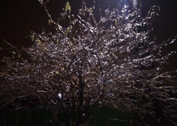 В Самарской области ожидают ледяной дождь и гололедицу 23 ноября