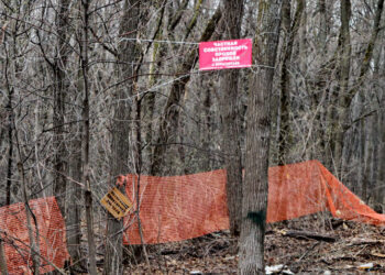 Владелец 25 га в крупнейшем самарском лесопарке выбивает миллиарды у мэрии города
