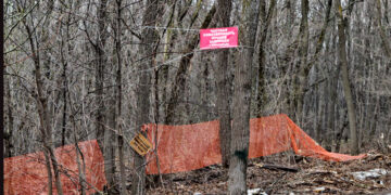 Владелец 25 га в крупнейшем самарском лесопарке выбивает миллиарды у мэрии города