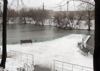 Самарский минлесхоз оценит влияние проекта застройки Пятой просеки на озеро Леснуха