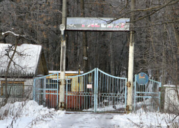 Самарский бизнесмен Шаповалов пытается ослабить защиту «Дубков»