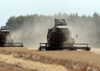Финансовая помощь региональным аграриям увеличилась, но удовлетворила не всех