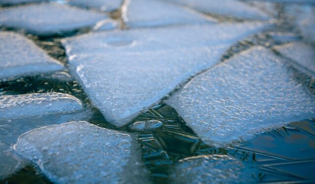 Фото: James Cheney: pexels