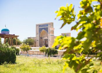 В Узбекистане возбудили уголовное дело после смерти 18 детей из-за сиропа от гриппа 