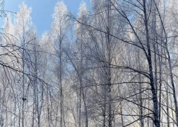 На смену аномальным холодам в России приходит «нормальная погода»