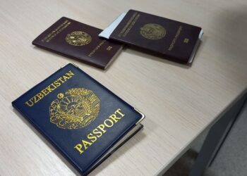 Из Самарской области выселяют на родину четырех нелегальных мигрантов