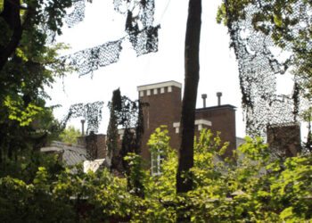 Тесная связь владельцев родового гнезда Александра Швидака оказалась недостаточной