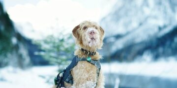 Специалисты МЧС рассказали жителям Самары как избежать обморожения