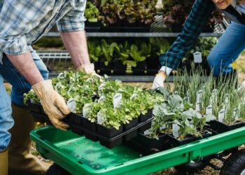 Эко-невидаль: экофермы, экопродукты, экотуризм… Кто они – продавцы экотренда в регионе?