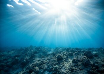 В Самарской области подняли со дна 65-метровый дебаркадер