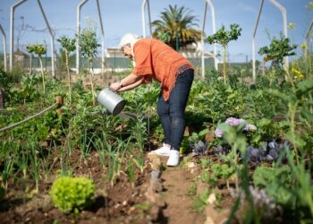 Риелторы хотят отобрать у россиян дачи из-за долгов перед садовыми товариществами