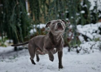 В феврале Самару ждут морозные ночи и сравнительно теплые дни