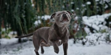 В феврале Самару ждут морозные ночи и сравнительно теплые дни