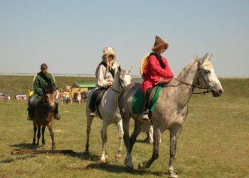 В Самарской области начнутся поиски места битвы Тимура и Тохтамыша