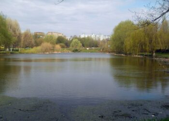 В Самаре ищут подрядчика для благоустройства парков и сквера за 205,2 млн