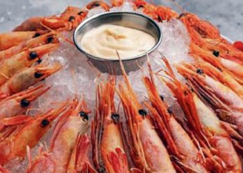 Filimonov расширяет морскую тематику