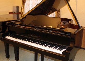 В Самаре стартовал конкурс педагогов в сфере культуры «Призвание»