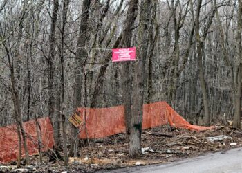 «Лагуна» требует 2,4 млрд рублей из бюджета Самары из-за запрета застройки лесопарка
