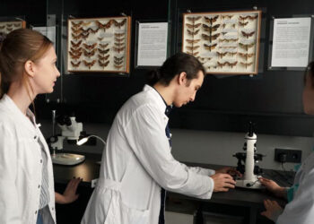 Самарцы и гости региона с помощью VR-технологий познакомятся с разными видами чешуекрылых