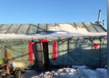 Полиция обнаружила 18 нелегальных мигрантов в теплицах в Самарской области