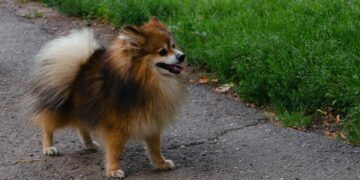 Фото: Denis Sorokin: Unsplash