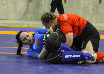 В Самаре сразятся за медали и разряды в смешанных единоборствах